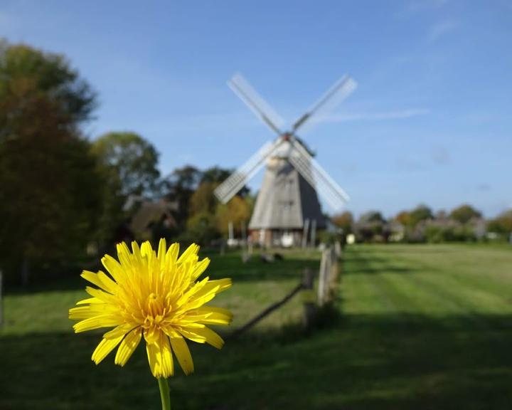 Muehle Ahrenshoop