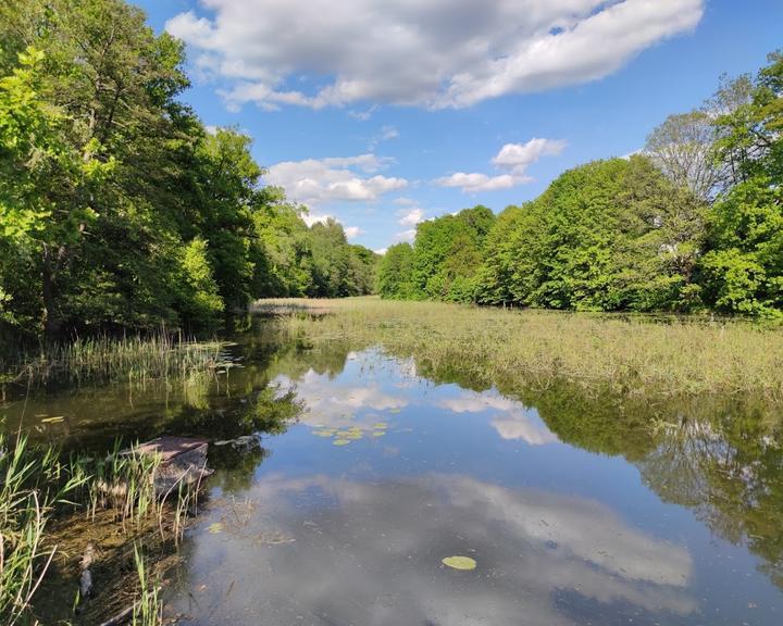 Waldesruh Am See